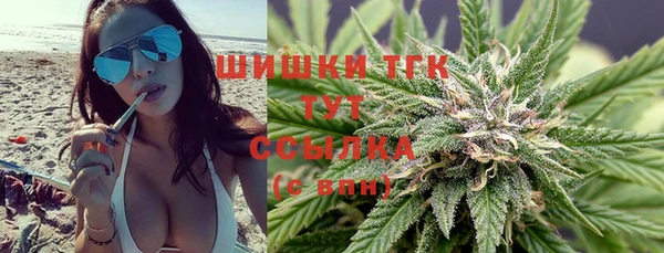 соль ск Белокуриха
