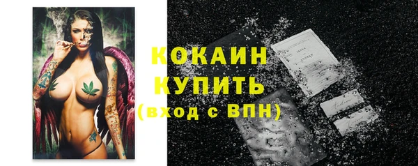 соль ск Белокуриха