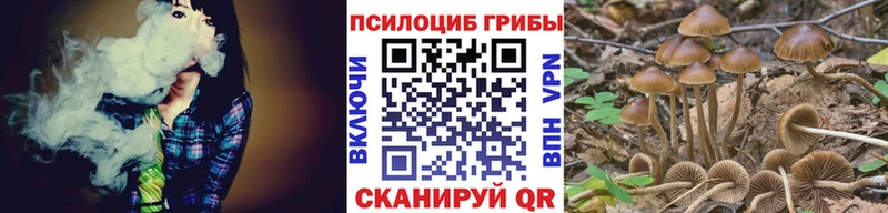 наркота  Валуйки  блэк спрут онион  Галлюциногенные грибы MAGIC MUSHROOMS 