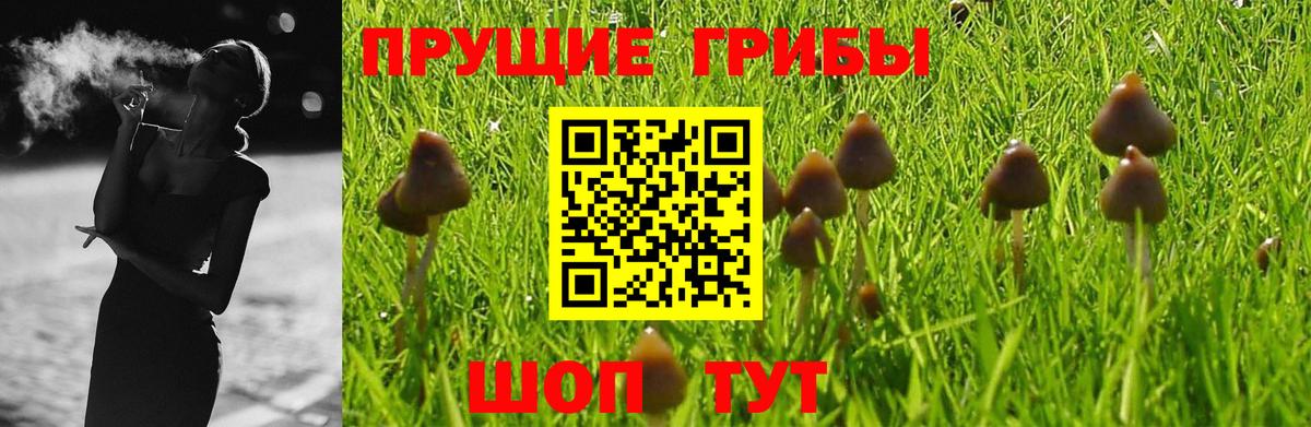 Псилоцибиновые грибы мухоморы  Валуйки 