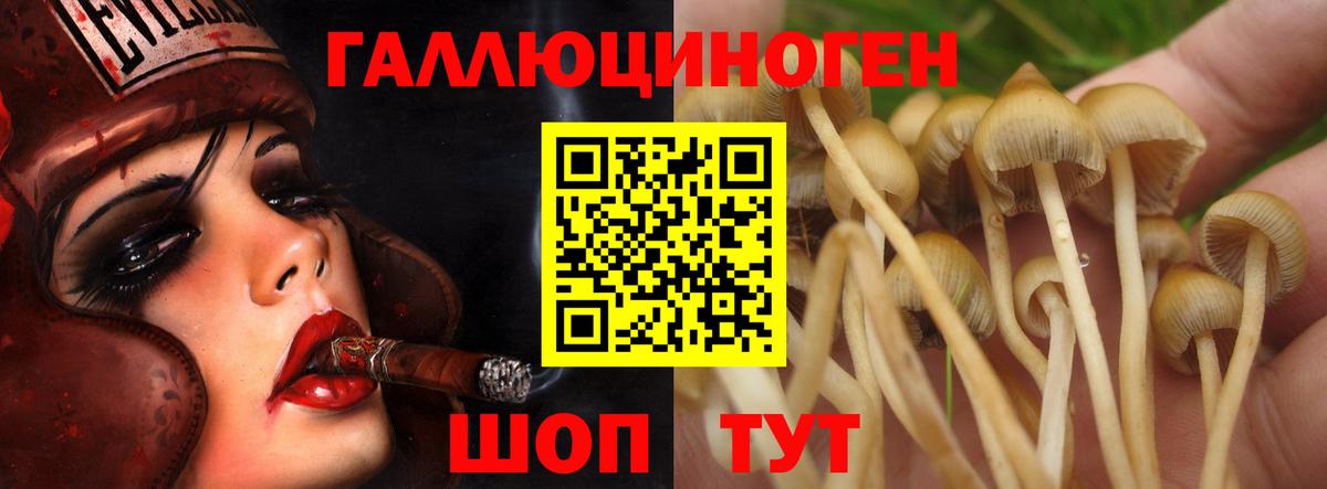 Валуйки  Галлюциногенные грибы мицелий  Вход с VPN 